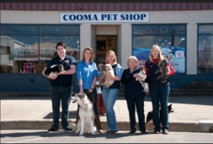 Pet Shops dog food cat food petcare animal retail