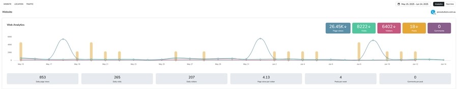 Website audience